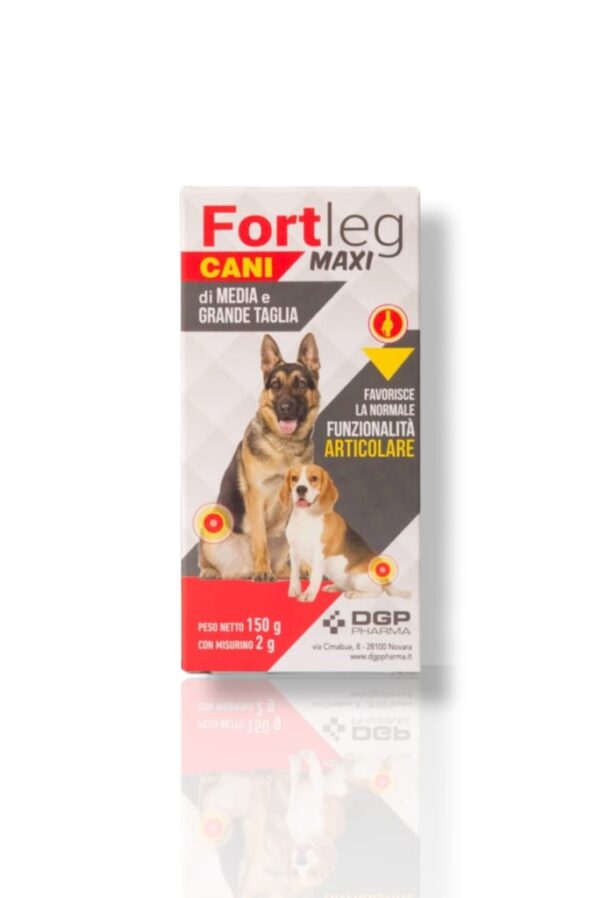 FORTLEG Maxi